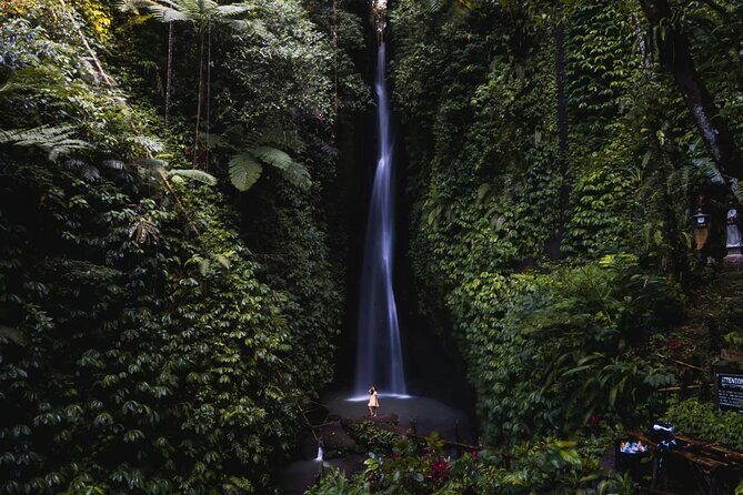 Private Tour: Bali Temples, Hidden Waterfall and Handara Gate - Taman Ayun Temple: Beautiful Garden, Royal-Temple Style