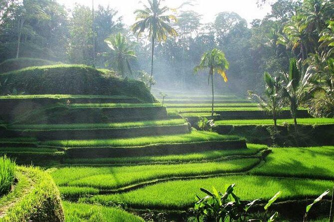 Private Tour: Batuan Temple, Tegenungan Waterfall, Elepahant Cave Free transport - Tegenungan Waterfall in one hour: safe, scenic, and easy to fit