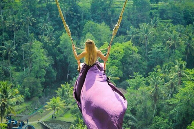 Private Tour: Gates of Heaven,Tukad Cepung Waterfall, Tirta gangga - How the stops flow during the full 10 hours