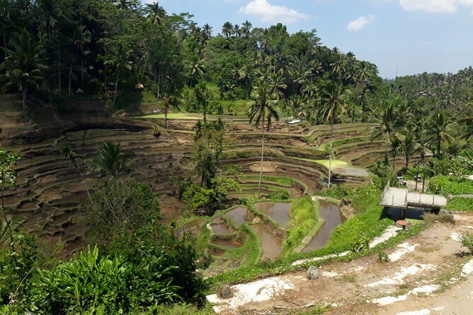 Private tour in Ubud country side - Starting in Kuta, then rolling into Ubud countryside time
