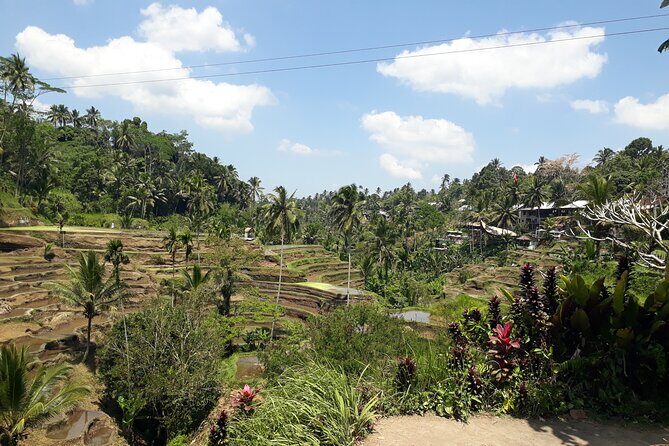 Private tour in Ubud country side - Sacred Monkey Forest Sanctuary: temples, forest paths, and macaque energy