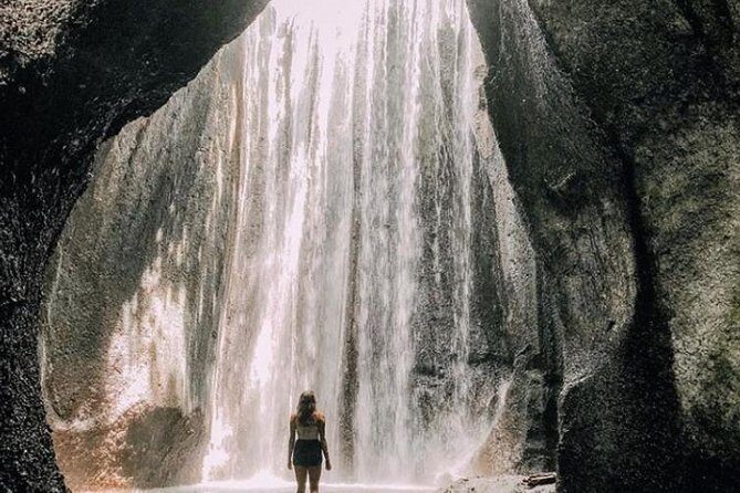 Private Tour Lempuyang, Tirta gangga, tukad Cepung Waterfall - Who This Tour Fits Best