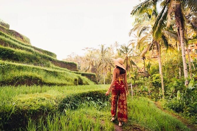 Private Tour Ubud: Swing at Rice Field with Temple and Waterfall - Tirta Empul Temple: spiritual Bali and the sacred water ritual