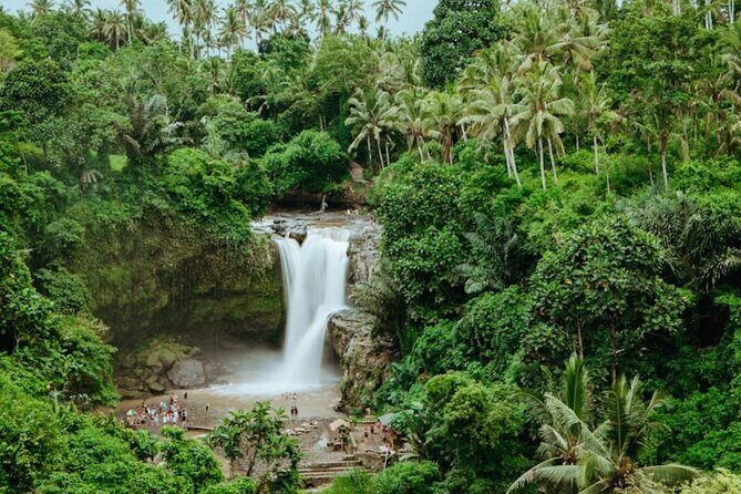 Private Ubud Day Tour Waterfalls Sacred Monkeys and Rice Fields - Sacred Monkey Forest Sanctuary: Temples, Trees, and Long-Tailed Macaques