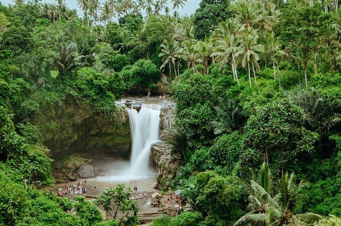 Private Ubud Day Tour Waterfalls Sacred Monkeys and Rice Fields - Price and Logistics: Why $27 Can Still Feel Like Good Value