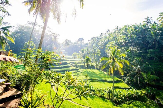 Private Ubud Day Tour Waterfalls Sacred Monkeys and Rice Fields - The Small Details That Make It Work