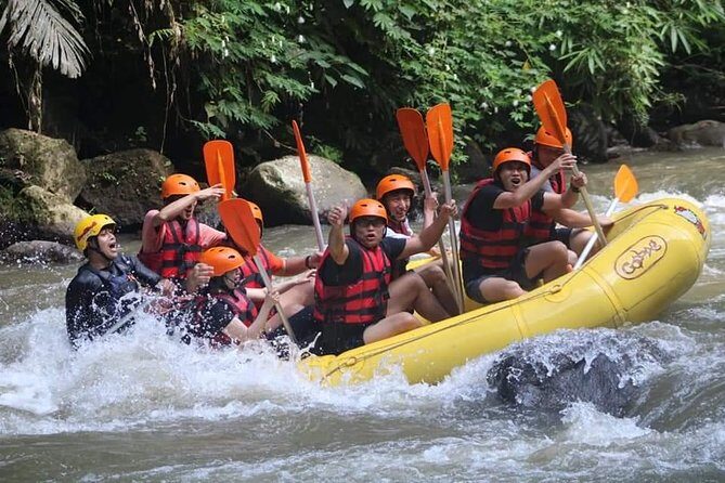 Rafting Swing Monkey Forest And Waterfall Tour All Inclusive - Price and What You’re Really Buying for $54