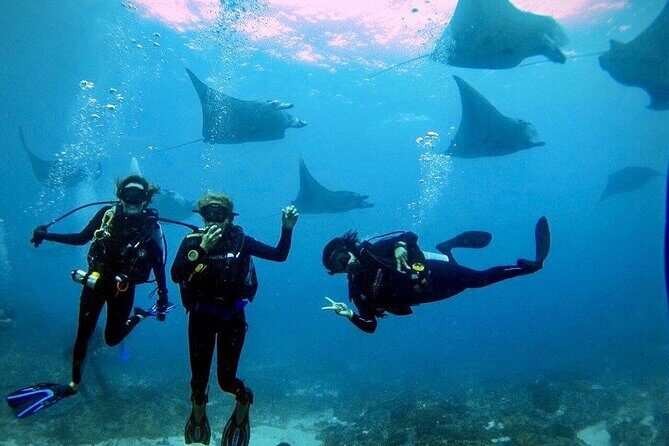 Sanur Open Water Course learn diving in 3 Days - Get certified & Dive everywhere - Three days to real scuba certification (and what that means)