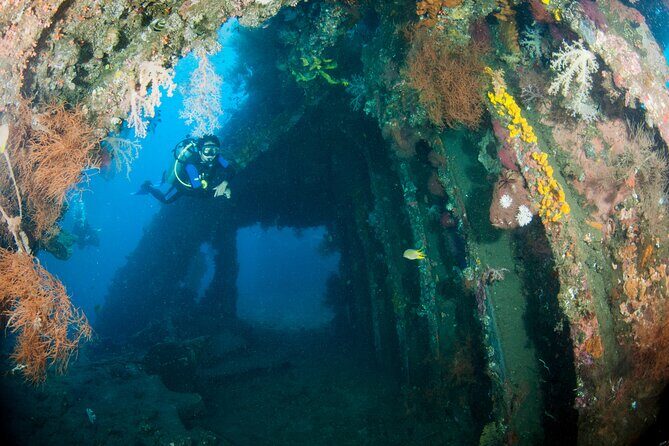 Sanur Open Water Course learn diving in 3 Days - Get certified & Dive everywhere - What’s included in the $480 price (and what you’ll still pay for)