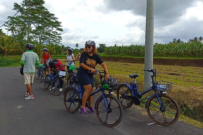 Sanur Village E-bike Tour: Family-Friendly Adventure - Your Route Through Mangroves, Rice Fields, and Village Paths