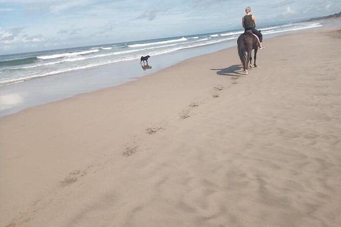 Seminyak Beach Bali Horse Riding - Guides, friendliness, and how the ride usually feels