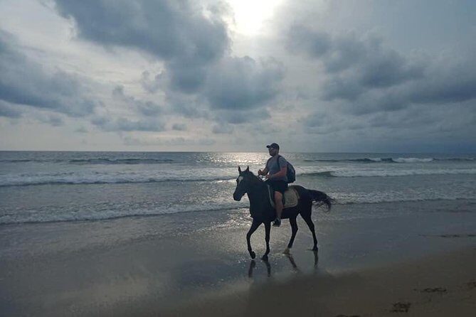 Seminyak Beach Bali Horse Riding - Should you book Seminyak Beach Horse Riding?