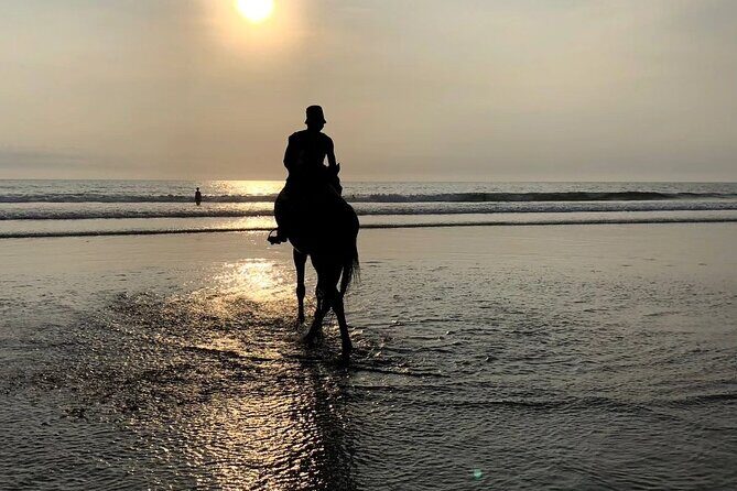 Seminyak Horse back riding In the beach - Price and value: what $44 buys you in Seminyak