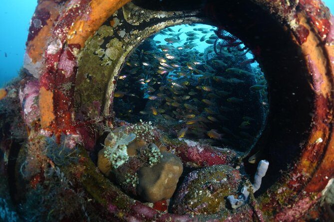 Shipwreck Diving in Tulamben - Key points worth knowing before you go