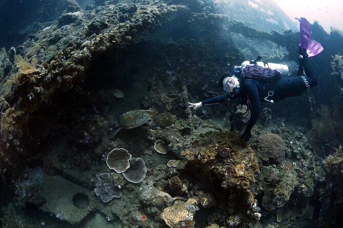 Shipwreck Diving in Tulamben - Price and value: what $150 really buys you in Bali