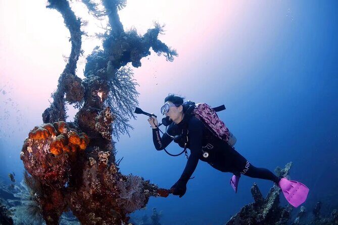 Shipwreck Diving in Tulamben - Who should book this shipwreck scuba trip (and who should skip it)
