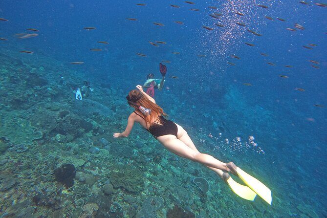 Snorkeling Day Trip to Nusa Lembongan and Nusa Penida - Why Nusa Lembongan and Nusa Penida work so well for snorkeling