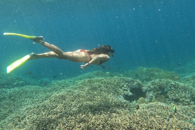 Snorkeling Day Trip to Nusa Lembongan and Nusa Penida - The snorkeling plan: guides pick the spots, and you bring a swimsuit mindset