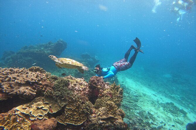Snorkeling Day Trip to Nusa Lembongan and Nusa Penida - Stop 1 to Stop 3: Lembongan, Penida, then Mangrove Point
