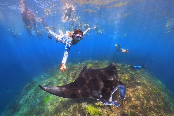 Snorkeling Day Trip to Nusa Lembongan and Nusa Penida - Lunch and coffee: the food part is actually part of the plan