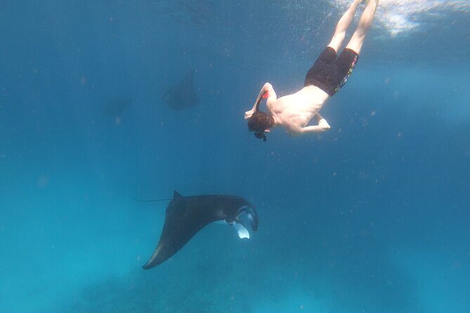 Snorkeling Day Trip to Nusa Lembongan and Nusa Penida - The return ride: fast boat back and where you end up