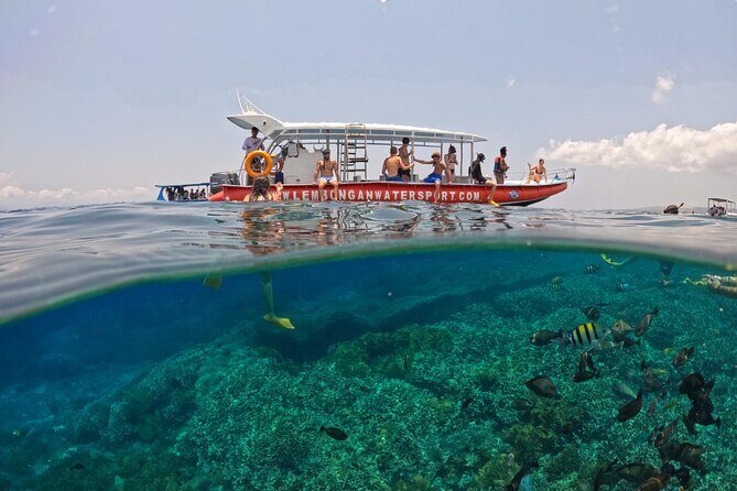 Snorkeling Day Trip to Nusa Lembongan and Nusa Penida - Price and value: why $42.55 can make sense here