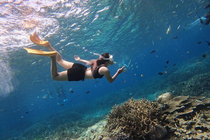 Snorkeling Day Trip to Nusa Lembongan and Nusa Penida - Getting there from Seminyak: pickup, meeting point, and the fast-boat rhythm