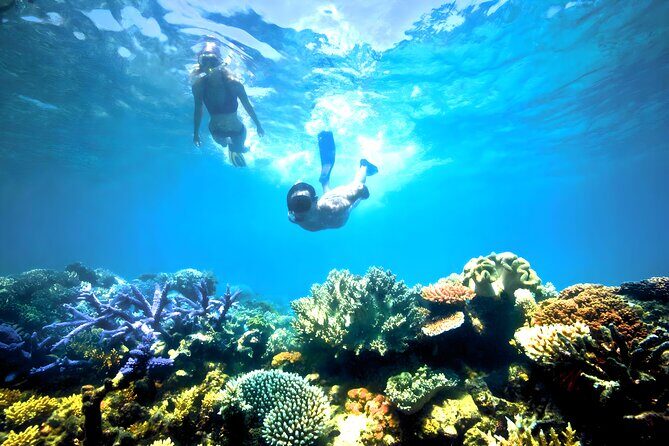 Snorkeling in Blue Lagoon Padang Bai Bali : Snorkel in the clear blue waters - Blue Lagoon near Padang Bai: why this reef is such a good target