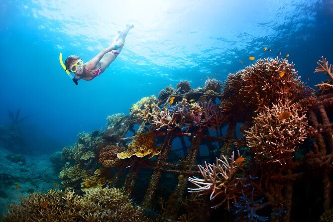 Snorkeling in Blue Lagoon Padang Bai Bali : Snorkel in the clear blue waters - Private logistics from Seminyak: pickup, transport, and what “private” really means