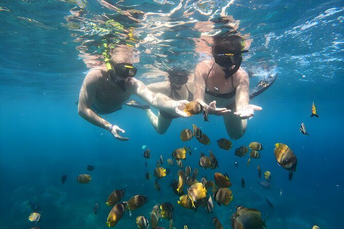Snorkeling In Nusa Penida Departing From Bali Island - Comfort and logistics on the island: the practical bits