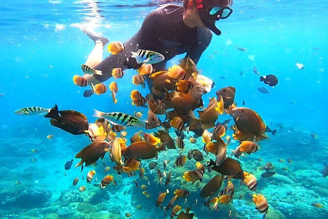 Snorkeling In Nusa Penida Island With Manta Ray From Bali - What you’re paying for: $95 and the included perks that matter