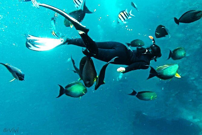 Snorkeling Package at Tulamben Liberty Shipwreck - Pickup and the drive to Tulamben: convenience vs. travel time