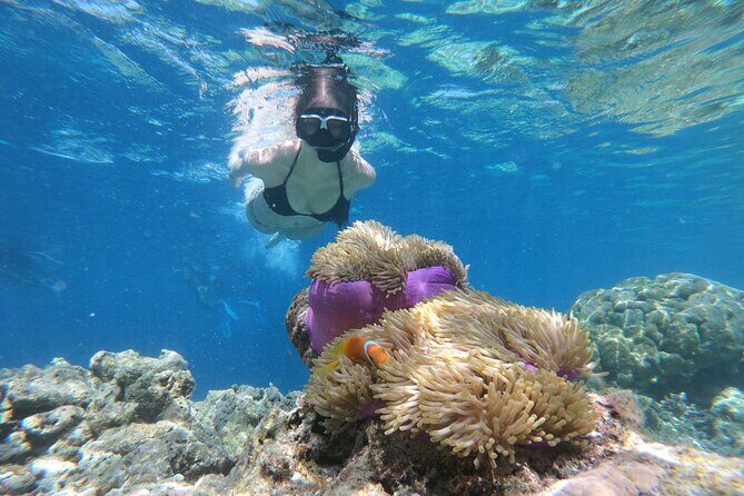 Snorkeling Tour at Blue Lagoon with Private Hotel Transfer - Key Points That Matter for Your Day