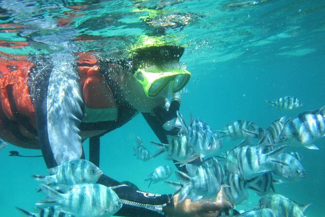 Snorkeling Tour at Blue Lagoon with Private Hotel Transfer - Gear Included, But Read These Snorkeling Rules First