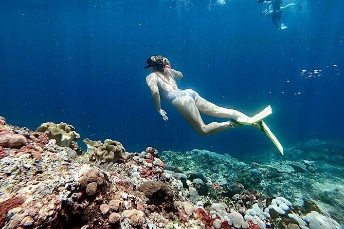 Swim with Manta Rays: Snorkeling Day Trip from Bali - Kuta to Sanur to Nusa Lembongan: the speed-boat rhythm that drives the day