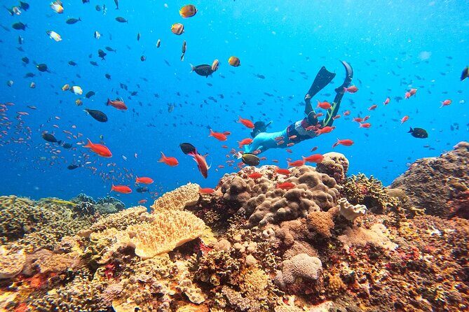 Swim with Manta Rays: Snorkeling Day Trip from Bali - Check-in at Matahari Terbit Port: yes, there’s a wait