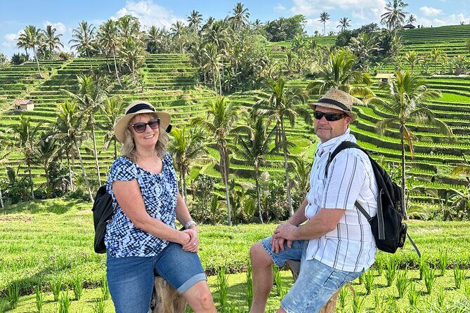 Tanah Lot Tour & North Bali Tour : All-Inclusive Best Experience - Seminyak pickup and the comfortable ride north