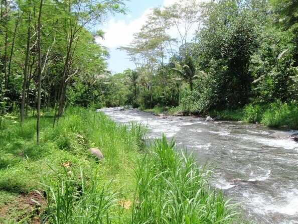 Telaga Waja White Water Rafting and Uluwatu Sunset Tour - Key highlights