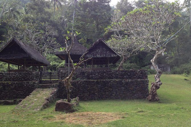 Tenganan Village Rice Field Trekking Tour - Air-conditioned pickup and a day that stays on schedule
