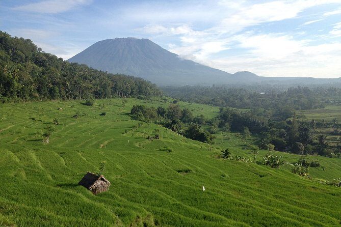 Tenganan Village Rice Field Trekking Tour - Kastala to Tenganan: the rice terrace trek that feels local