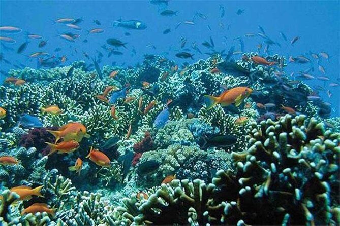 Tour Gate of Heaven at Lempuyang Temple - Blue Lagoon Snorkeling with lunch - Snorkeling practicalities: gear is included, but you still need a plan