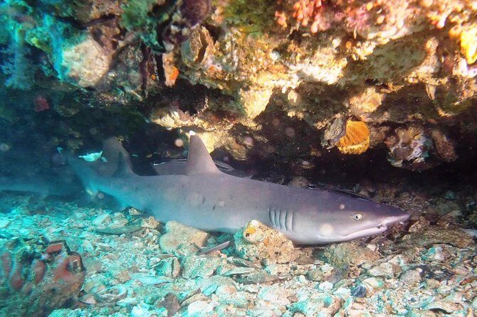 Try Scuba Diving at Padang Bai - Gear, Lunch, and the Small Comforts You’ll Appreciate