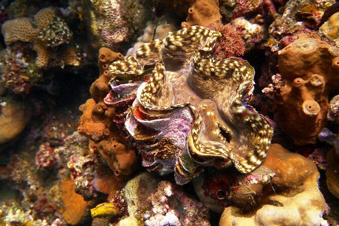 Try Scuba Diving at Tulamben Shipwreck - Lunch, the beach break, and how to handle the in-between time