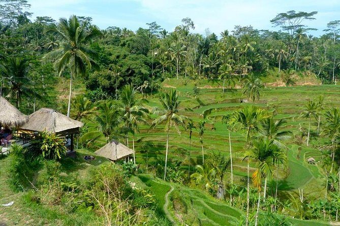 Ubud Combine Mount Batur Kintamani Tour - Ubud add-ons: Monkey Forest, palace time, and market browsing