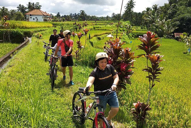 Ubud Cycling Tour - How Much Value Is $50? Inclusions, Extras, and Who It Fits