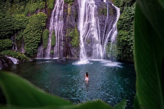 Ubud Full Day - Monkey Forest, Rice Terrace and Waterfalls Tour - Ubud Jungle Swing: the fun part, plus what costs extra