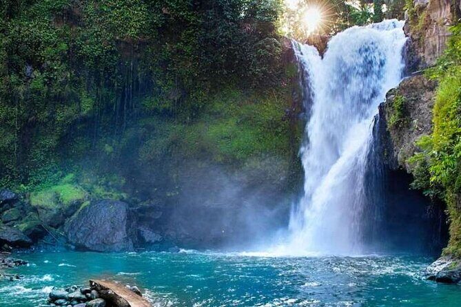 Ubud Full Day Tour Waterfall Monkey Forest Rice Terrace - Pickup Zones and How the 8–10 Hour Day Really Plays