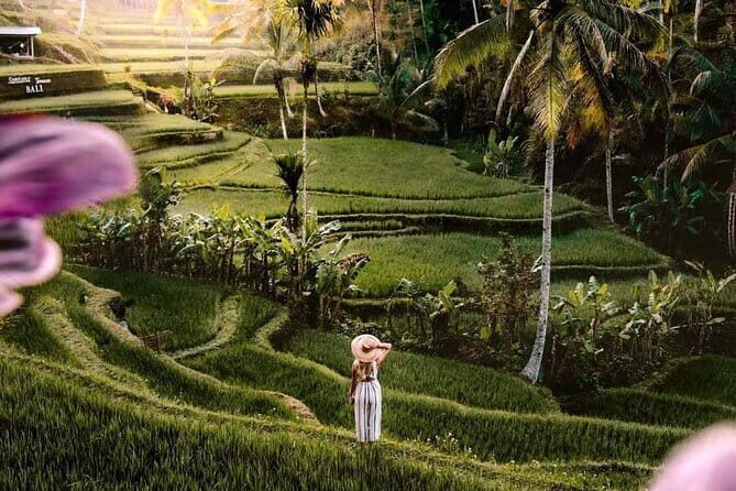 Ubud Highlights -Private Tour,Temples, Waterfalls & Rice terraces - The real draw: Ubud’s culture plus the scenic “wow” stops