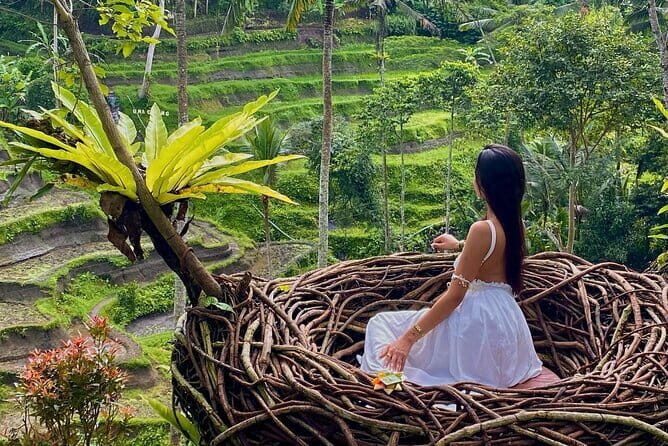 Ubud Highlights -Private Tour,Temples, Waterfalls & Rice terraces - Celuk Village: craft culture you can actually see