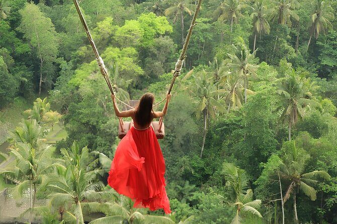 Ubud Highlights Rice Terraces, Temple, Waterfall & Monkeys forest - Price and value: what you’re really paying for